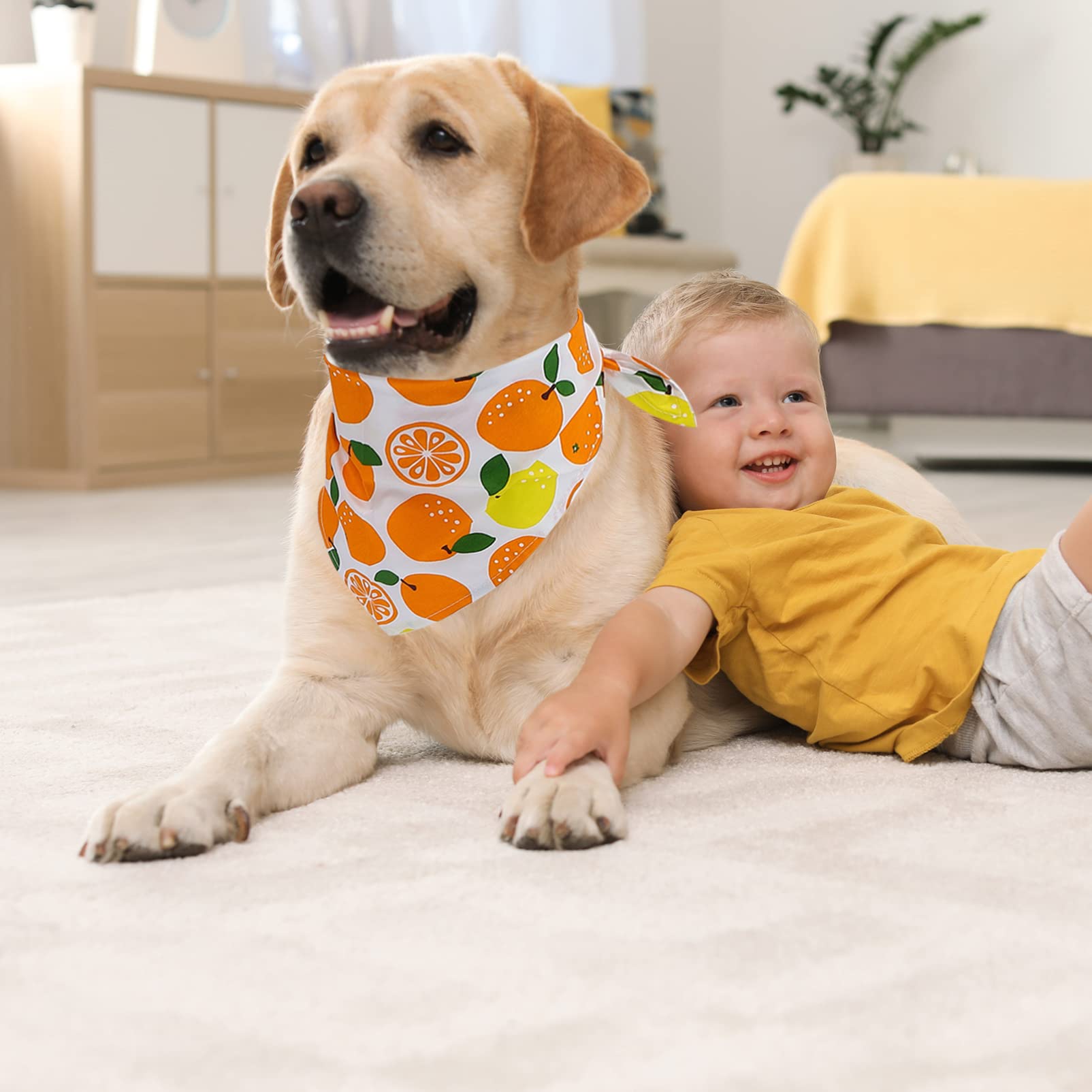 POPETPOP 15pièces Bandanas Coton pour Animaux De Compagnie De Écharpes avec Motif De Fruits Accessoires De Mode pour Chiens Et Prévention des Écoulements De Et Confort Estival