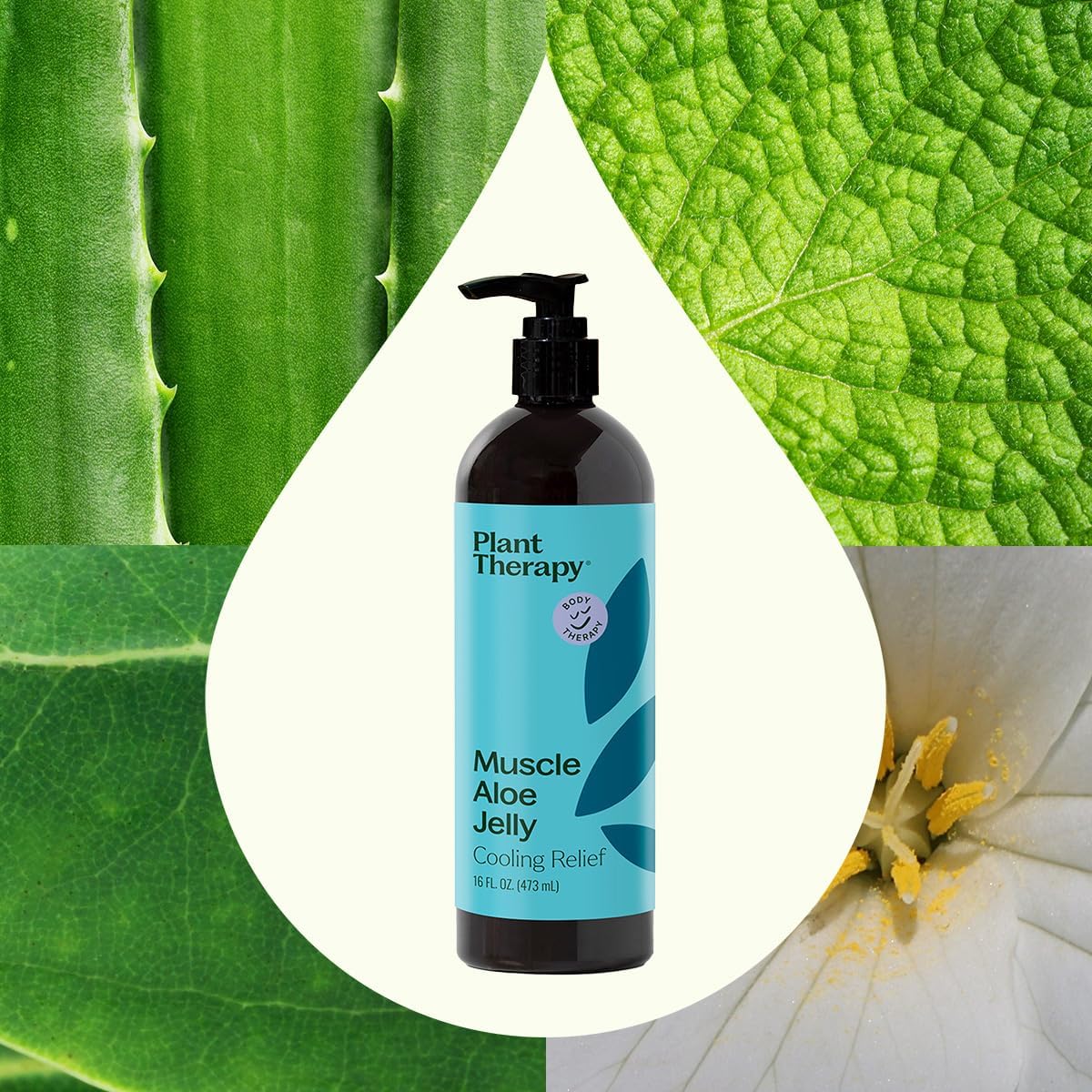 Plant Therapy Muscle Aloe Jelly 16 fl oz, Cooling & Warming Aloe Gel with Essential Oils for Post-Workout Muscle Comfort, Massage & Aromatherapy