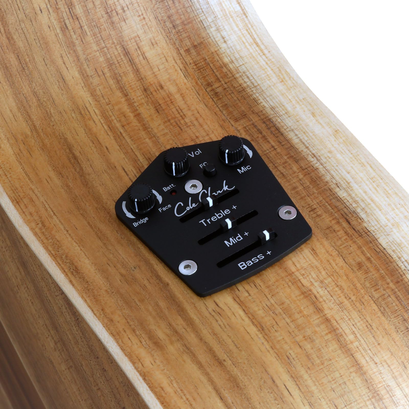 Cole Clark CCAN2EC-BLBL 美品 COLE CLARK CCAN2EC-BLBL 送料無料 | Sound House
