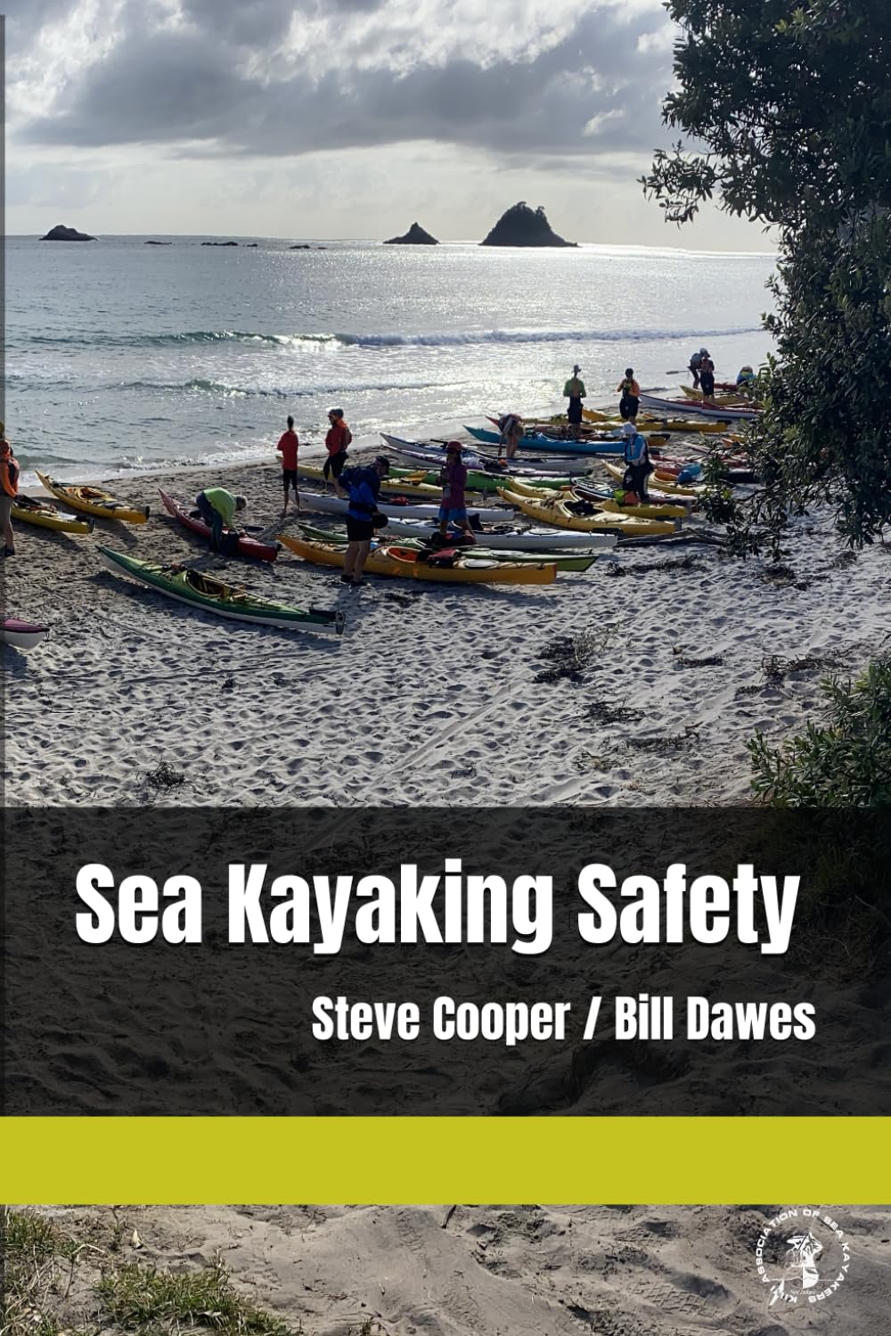 Sea Kayaking Safety: Premium Edition