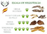 Ver la foto 5