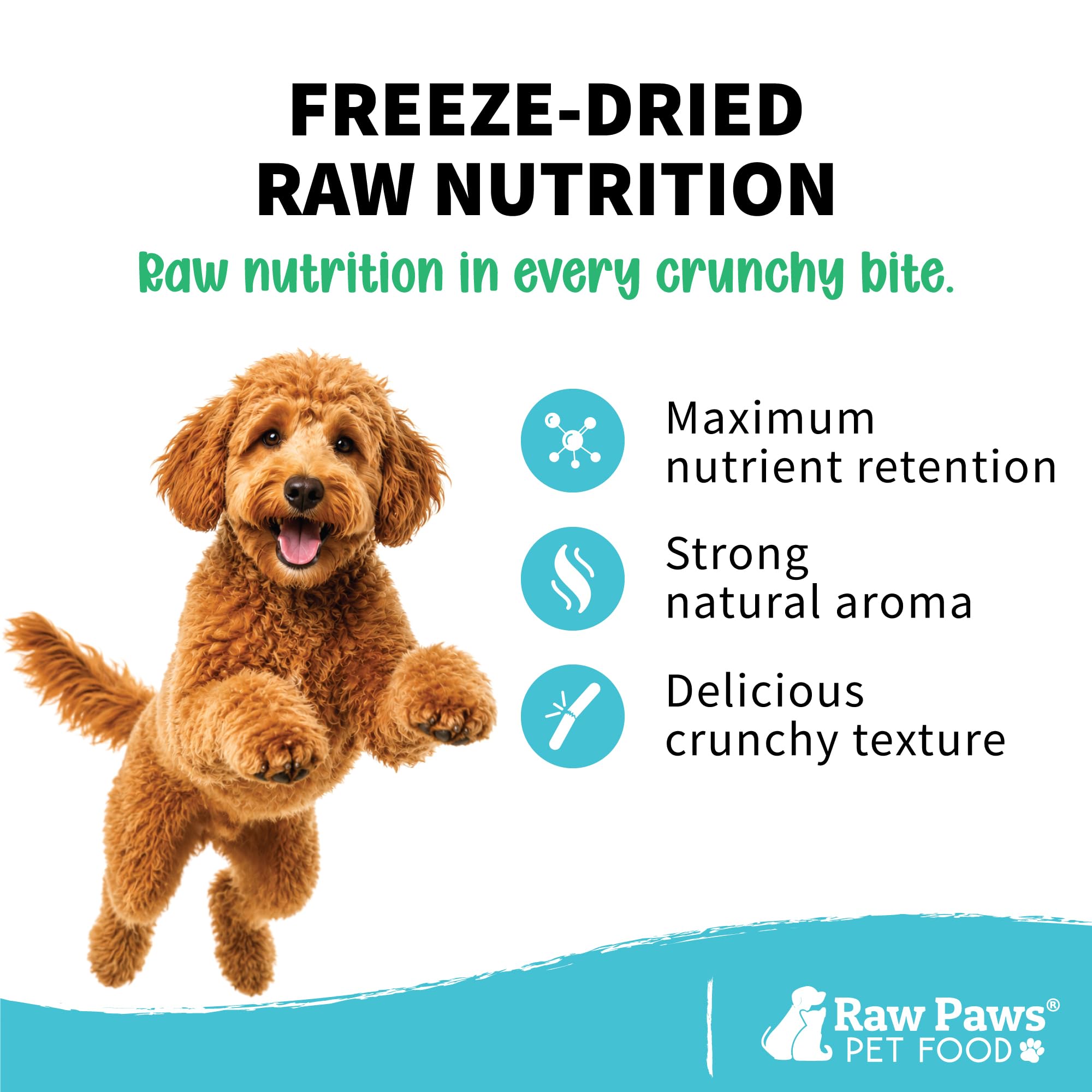 Raw Paws Pet Freeze Minnows secos para perros y gatos – Estados Unidos Fish Dog Treats – todos natural, único ingrediente Minnow Cat Treats – Raw Freeze Dried Dog Snacks – Grain Free Cat Reward,