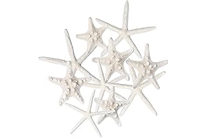 Mesmerizing Starfish Decor: Embellish Your Space with Coastal Charm