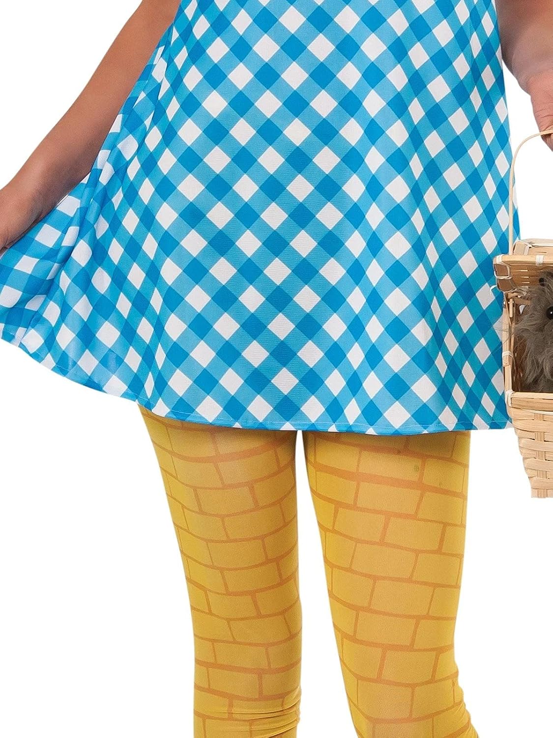 Wizard of Oz Dorothy Teen Costume