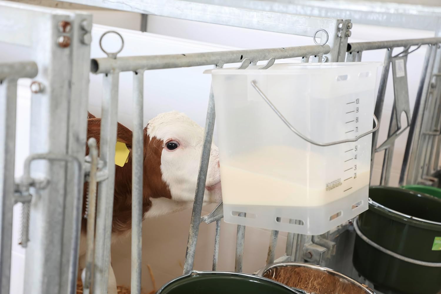 Kerbl Drinking Bucket 13 L Transparent White with Scale