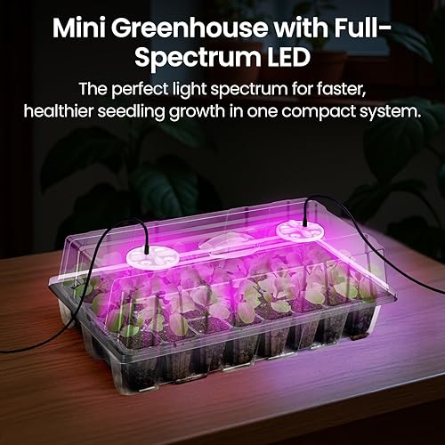 Miniatura 21 de Bonviee Paquete de 10 bandejas de inicio de semillas con tapa elevada, kit de bandejas de inicio de semillas gruesas de 120 celdas con ventilación