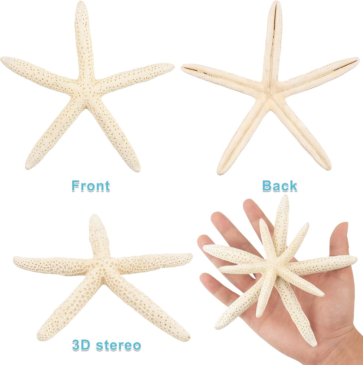20 PCS Starfish for Crafts 4" to 6" Natural Starfish Decor Bulk, for Wedding Beach Theme Decor Home DIY Crafts Decor Christmas Tree Starfish Ornaments