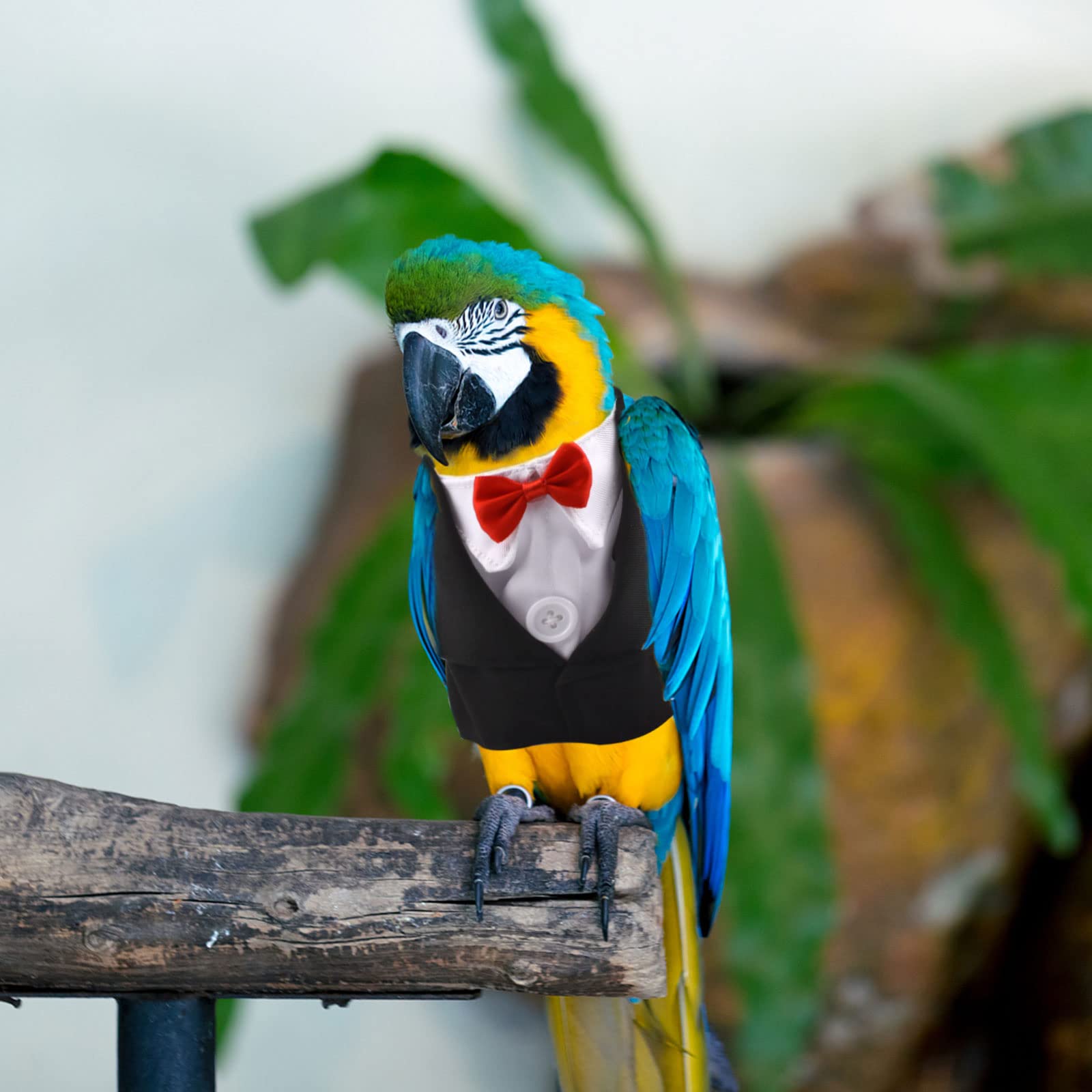 Wiederverwendbare Papageienwindel - Waschbare Vogelkleidung Für Papageien & Sittiche