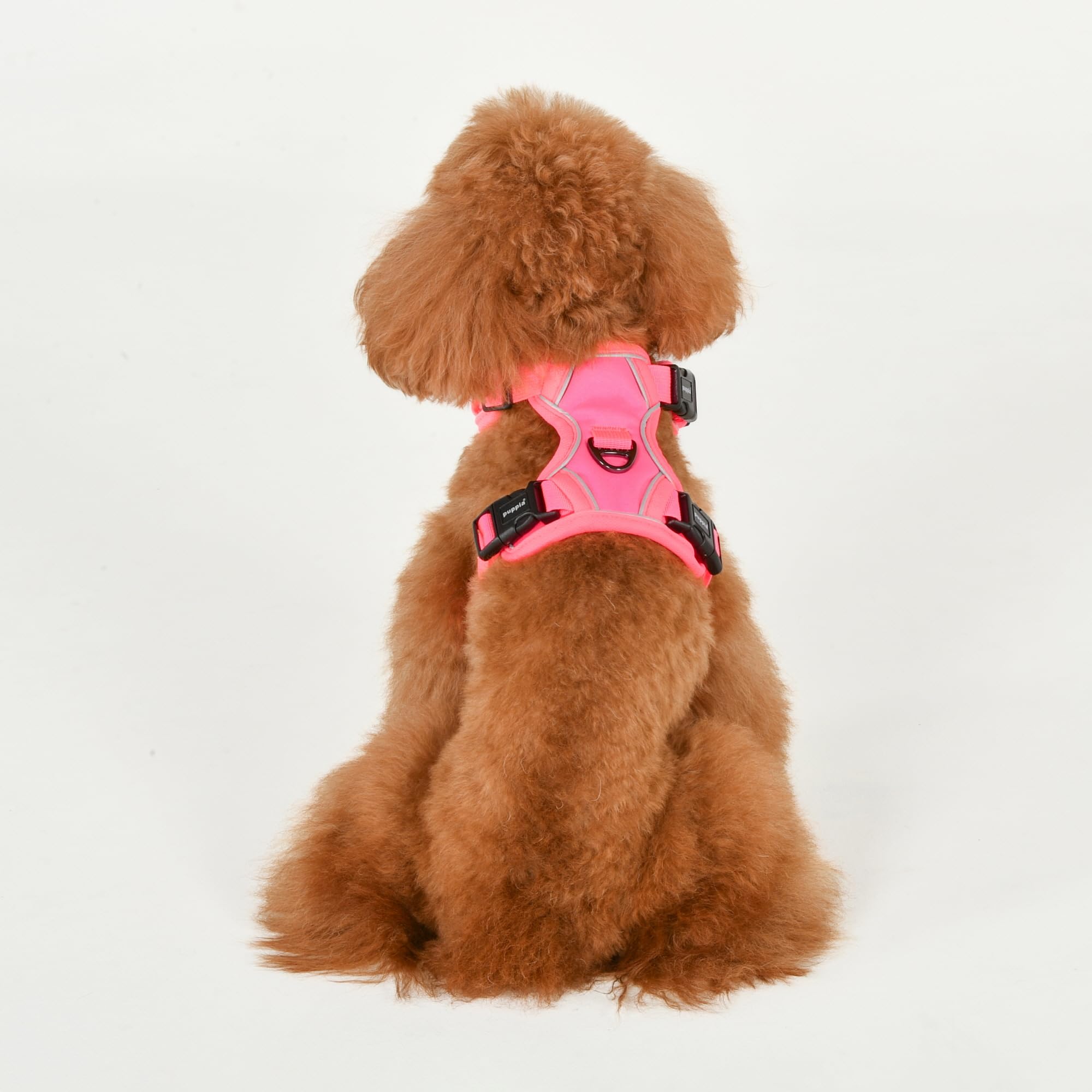 NEON Harness H Hundegeschirr Pink S