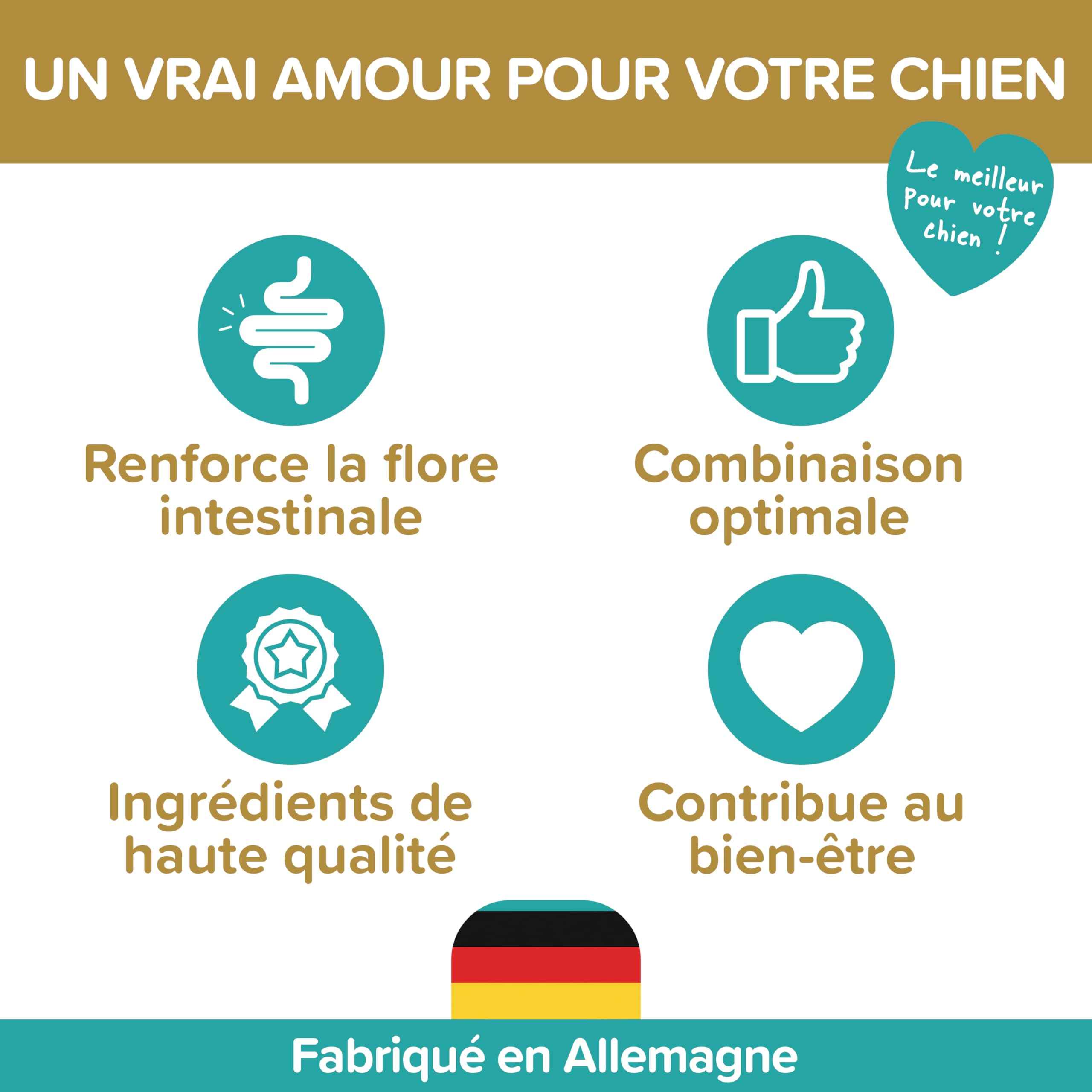 Probiotiques Chiens – Complément Digestif Naturel – Probiotiques Chien pour Santé Intestinale – Bien-être Quotidien avec Probiotiques pour Chiens BAU – 120 Comprimés