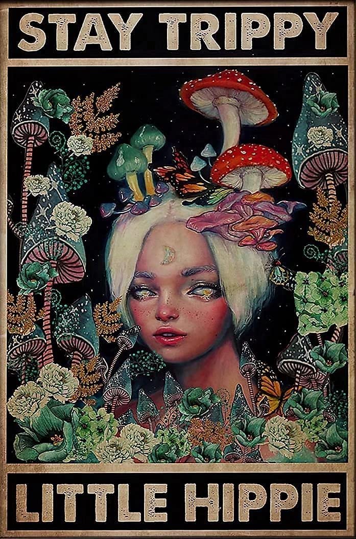 Tin Sign Mushroom Fairy Wall Retro Tin Sign,Bathroom Decoration for Bars,Restaurants,Cafes and Bars,New Year,Metal Sign 12x16 Inches