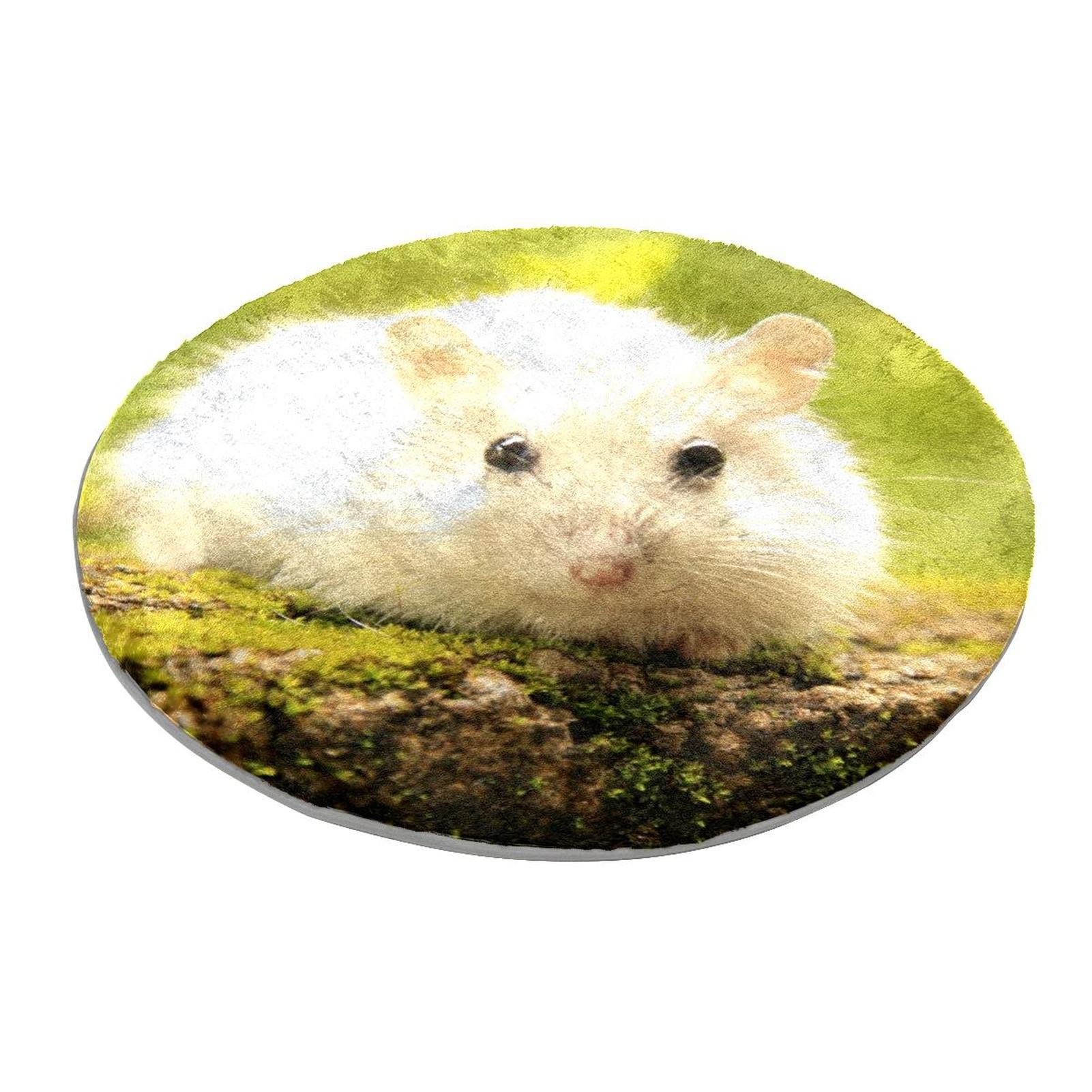 Tapis rond blanc cocooning pour une chambre cosy ou un coin jeu enfant