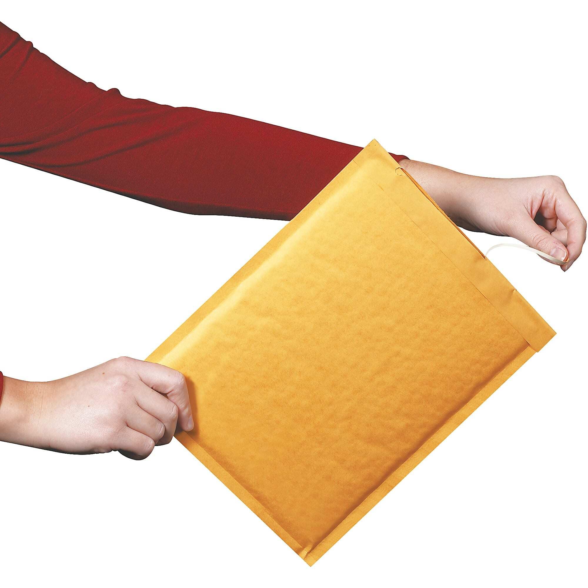 Delidge Yellow Kraft Bubble Mailers. Self-Sealing Waterproof Bubble Shipping Envelopes Padded, Cushioned Kraft Mailer with Self-Adhesive Tape (15 * 25cm)(Pack of 10) (B0CPPH4S8H) Amazon Price History, Amazon Price Tracker