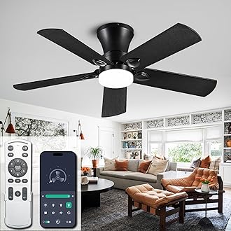 ducrew Ceiling Fans with Lights, 42 inch Low Profile Ceiling Fan with Light and Remote Control, Flush Mount, Reversible, 3CCT, Dimmable, Noiseless, Black Ceiling Fan for Bedroom, Indoor/Outdoor Use