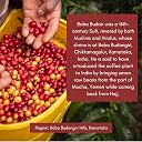 Toffee Coffee Roasters | Baba Budangiri Coffee, Medium Dark Roast, 250 g | Grind: Syphon, Speciality Blend, 100% Arabica | Speciality Coffee | Freshly Roasted gallery image