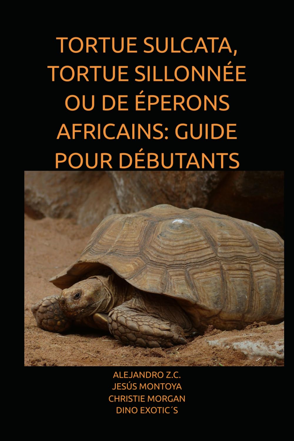 TORTUE SULCATA, TORTUE SILLONNÉE OU DE ÉPERONS AFRICAINS: GUIDE POUR DÉBUTANTS