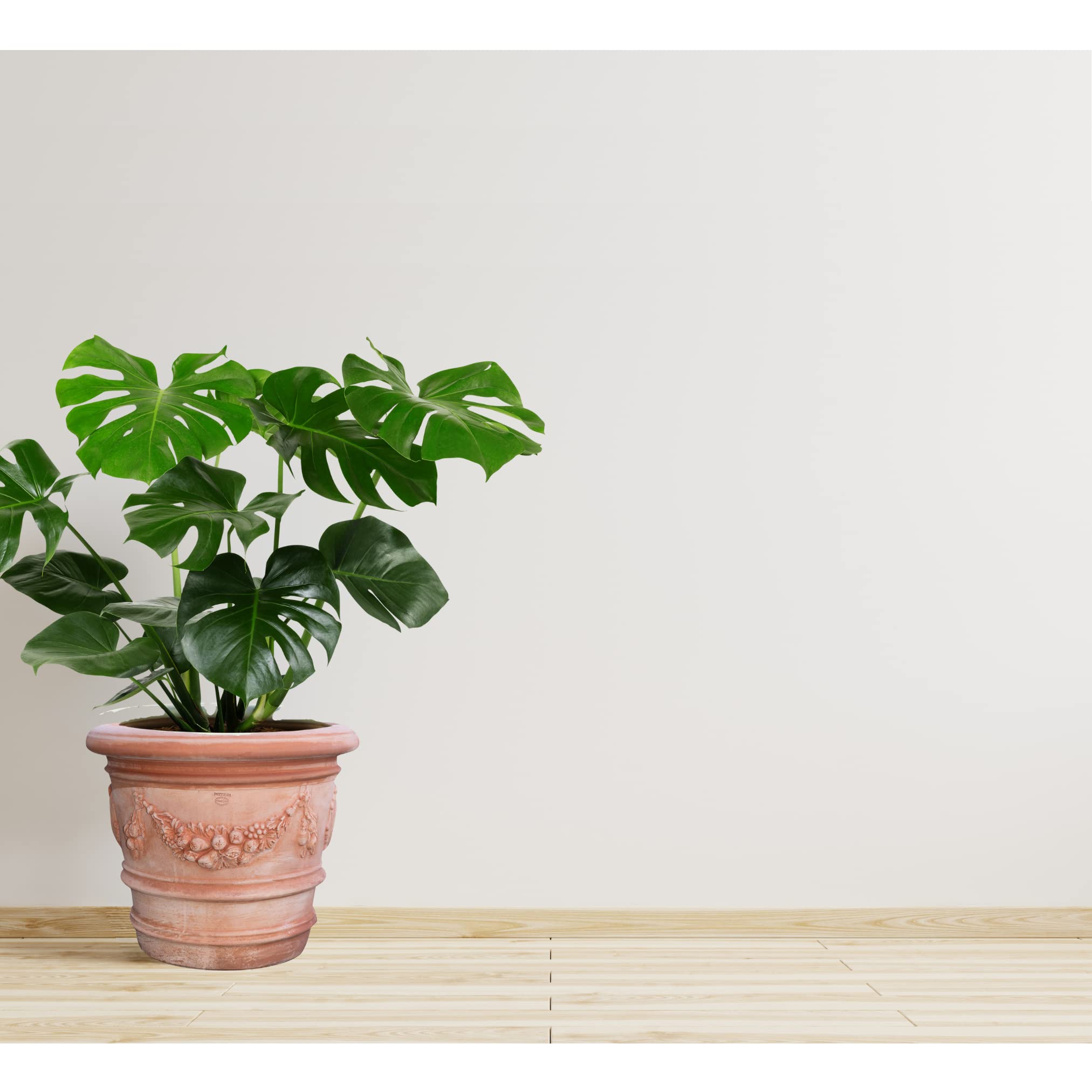 Biscottini terre cuite 68 x 49 cm | Pots en terre cuite grands fabriqués en Italie | Grands vase toscane | Pot extra large