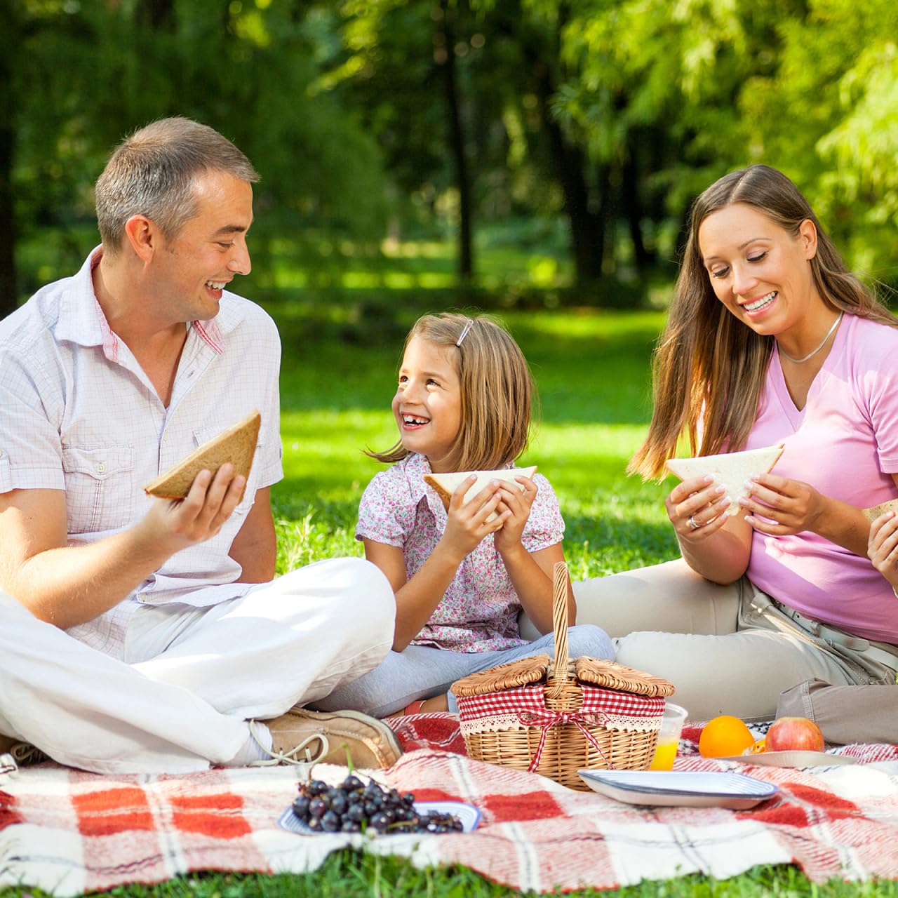 Alipis Cestino Da Picnic Vimini Con Doppio Coperchio Manico Portatile 5X7X5 Pollici Cesto Intrecciato Per Conservazione Alimenti E Accessori Esterni Casa