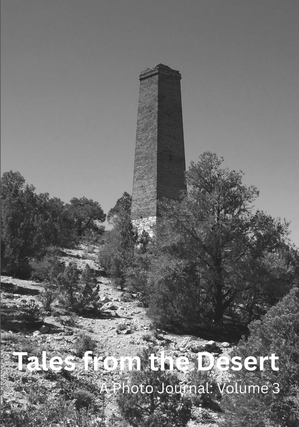 Tales from the Desert: A Photo Journal: Volume 3