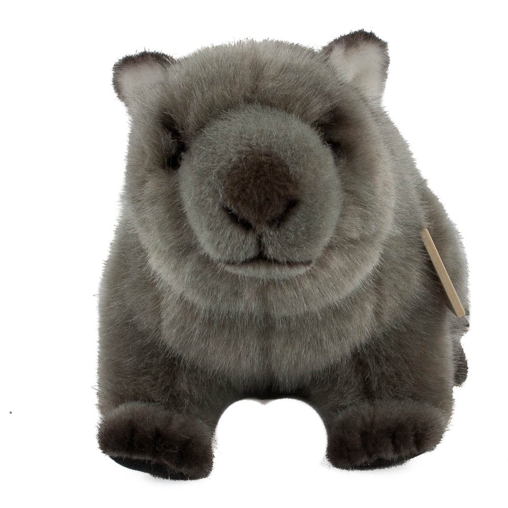 Amazon.co.jp: ウォンバット 子供 Wonbat kind KOSEN(ケーセン社) 24cm
