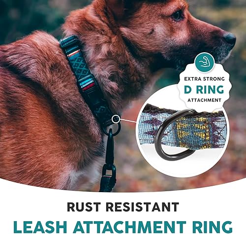 Miniatura 6 de Embark - Collar para perro urbano - Collar para perros medianos, pequeños y grandes., L