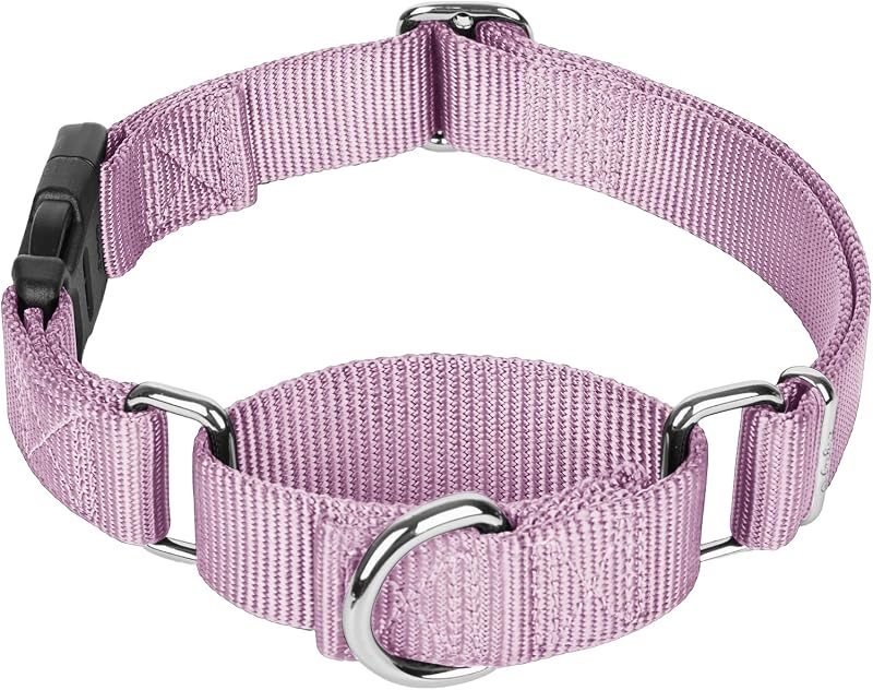 Coleira Martingale Ajustável com Fecho de Engate Rápido para Cães Médios e Grandes Legiuf