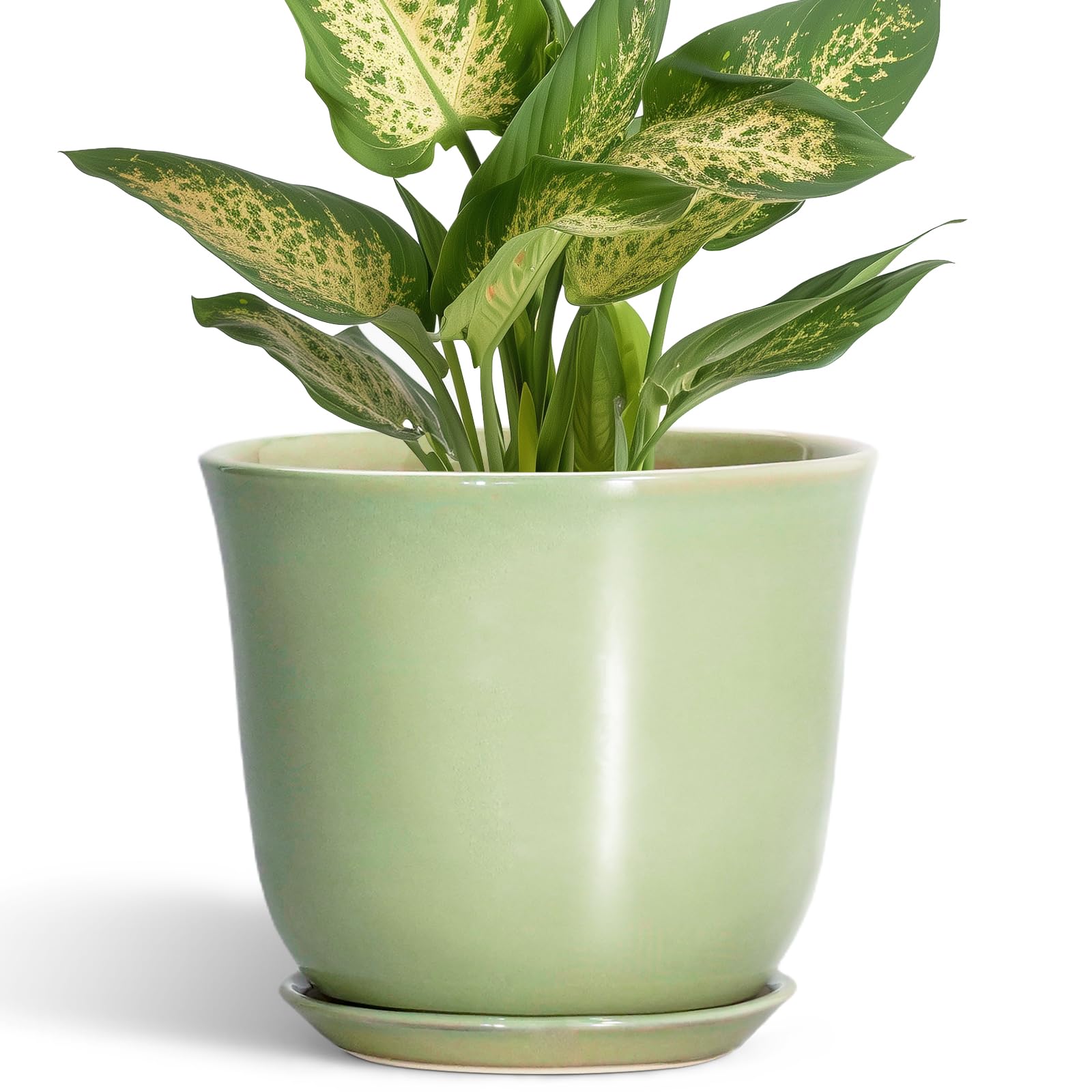 5.6 Inch Plant Pot - Ceramic Pots