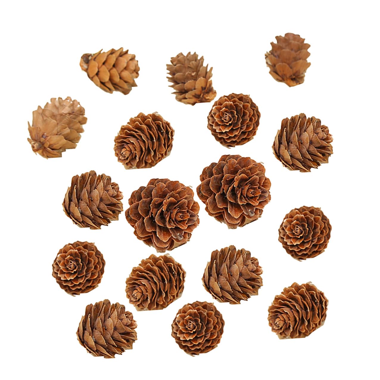 210 Piezas Mini Piñas Naturales Decoración Rústica para Navidad y Acción de Gracias Vegetal Dried Pine para Hogar