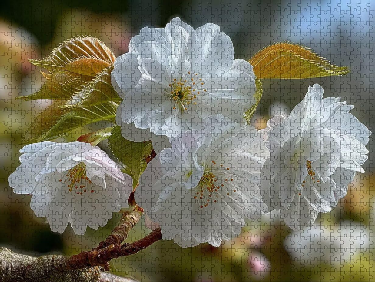 Puzzle 3000 elementów dla dorosłych kwiat, drewniane puzzle 122 x 81 cm, dla mężczyzn kobiet starszych seniorów, części ściśle do siebie pasują, dekompresja, dekoracja ścienna, prezenty dla