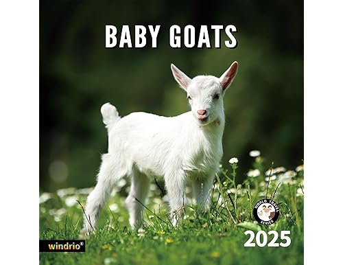 The Cutest Goat Calendars 2023 for Goat Lovers | [Full Review]