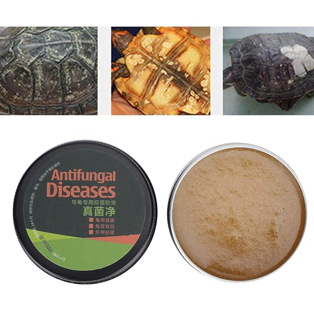 Foto 3 de 7 de DUANxiaoyanK Pet Tortoises - Crema para el cuidado de las tortugas, para acondicionador protector…