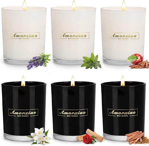 Paquete de 6 velas perfumadas, 6 velas grandes de 5.8 onzas, velas aromáticas para el hogar, velas de soja de larga duración de 250 horas, velas en