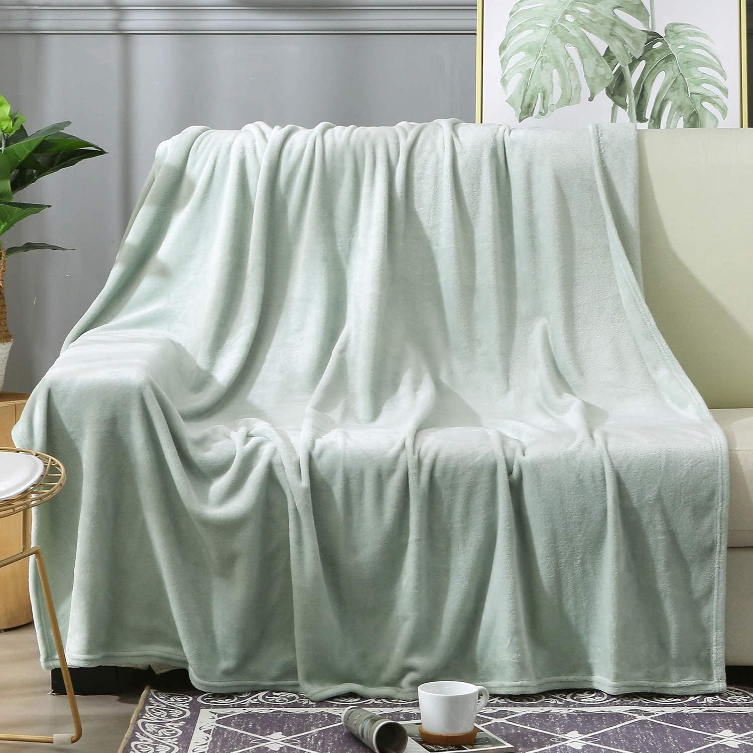 BEAUTEX Fleece Blanket Twin Size Super Soft Flannel Throw Blanket Lightweight Fuzzy Plush Blanket for Couch Sofa or Bed All Seasons (Mint, 60" x 80")
