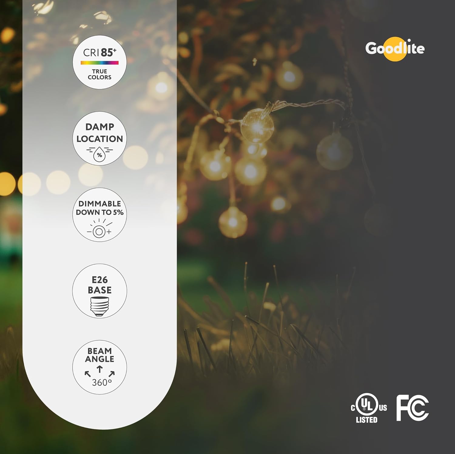 Goodlite G-19753 Warm White 3000k Dimmable Edison LED 4.5W Bulb E26 Base T10 Shape, Frosted, 60W Equivalent 500 lm Filament