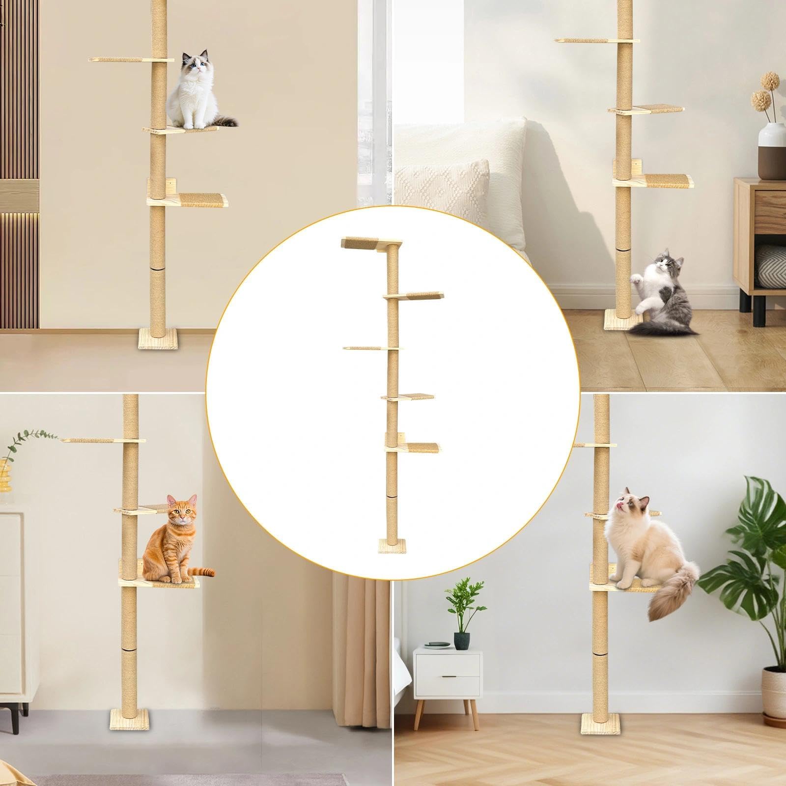 Rascador para Gatos de Poste, Árbol para Gatos, Torre de 5 Niveles hasta el Techo (205 cm), Montado en la Pared, con Corda di Sisal Naturale, para Trepar, Rasguñar y Jugar