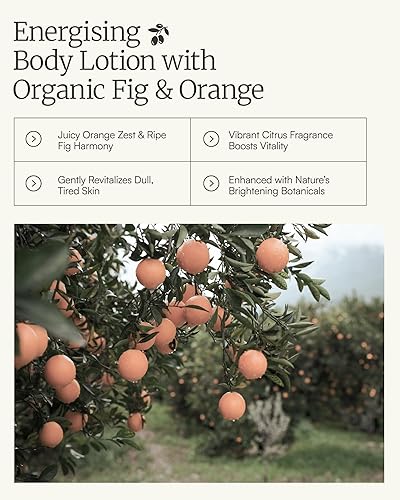 Miniatura 35 de AEOLIS Loción corporal hidratante con jazmín y aloe vera orgánico - Hidratante con manteca de karité, hoja de olivo y manzanilla - Cuidado