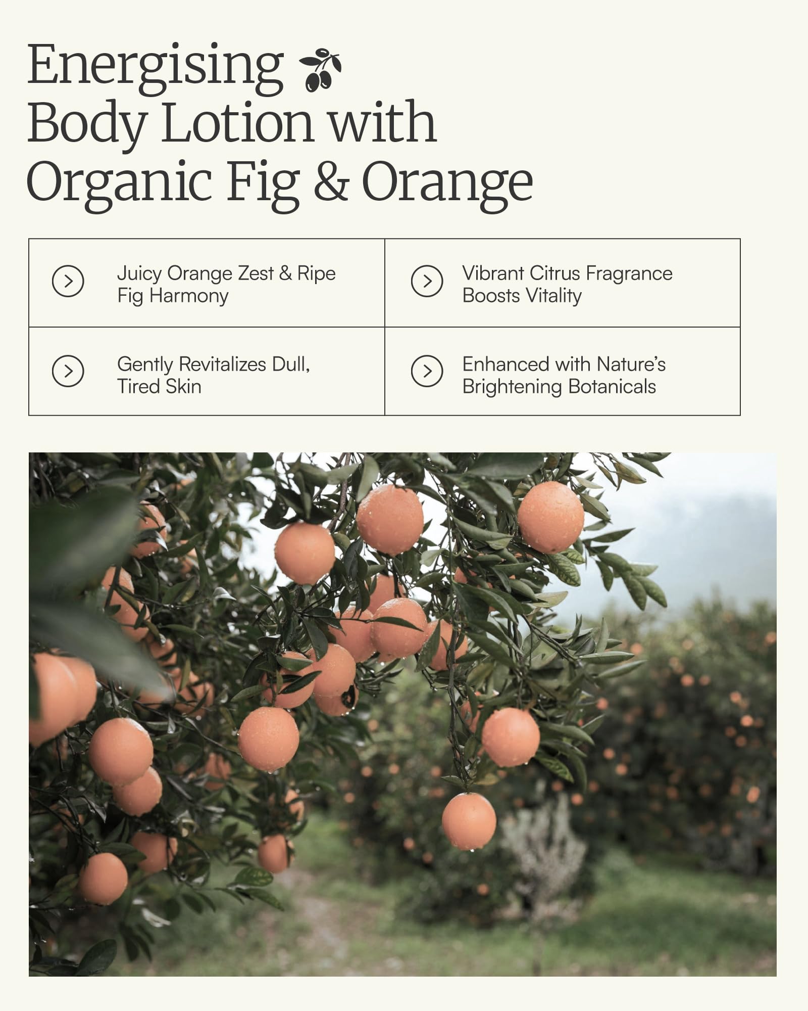 AEOLIS Skincare | pomarańczowy Ultimate Care balsam do ciała | pomarańczowy i mleczko królewskie | 100% naturalny i zrównoważony | bez sztucznych dodatków (pomarańczowy, 250 ml)