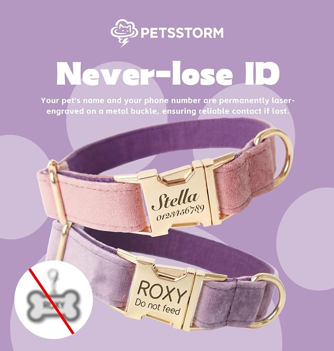 Collar para perro personalizado con grabado en hebilla miniatura 4