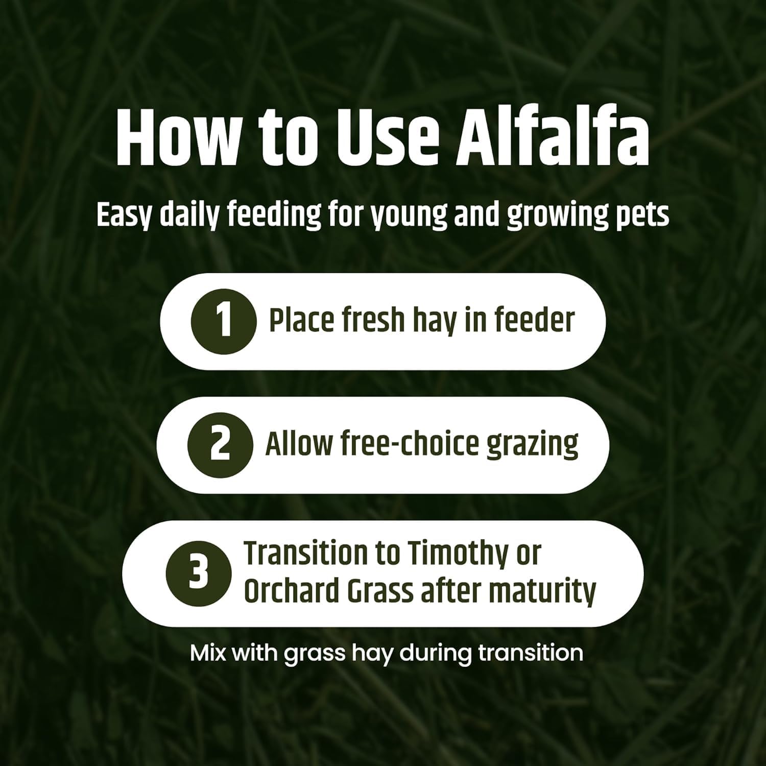 High Desert Alfalfa Cubes for Young Rabbits and Guinea Pigs, 5 lb Box | Protein Rich Soft Leaf Nutrition, Ideal For Growing Kits And Nursing Mothers, Fun Chewable Shape Hand Packed Fresh in the USA