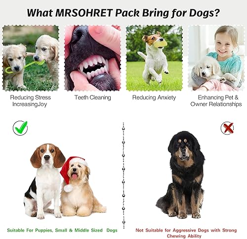 Miniatura 3 de 20Pcs Puppy Chew Toys for Teething, Dog Chew Toys with Rope Toy, Pet Dog Toothbrush, Treat Balls, Plush Toys and Squeaky Toys for Small Medium Dogs