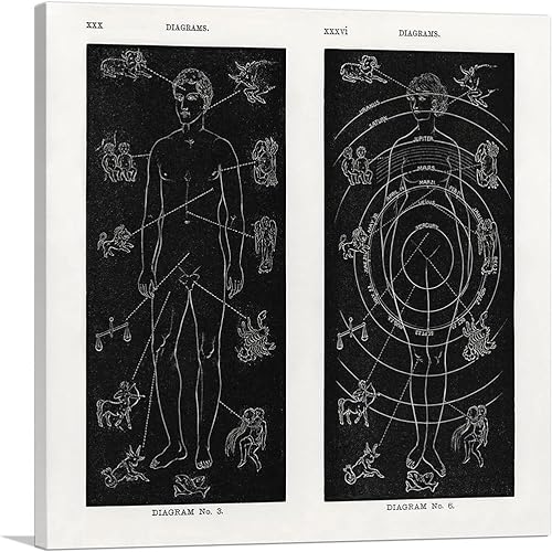 ARTCANVAS Diagram 3 6 Solar Biology Man Woman Hiram Butler Canvas Art Print Stretched Framed Painting Picture Poster Giclee Wall Decor - 18" x 18" disponible en Yaxa Peru