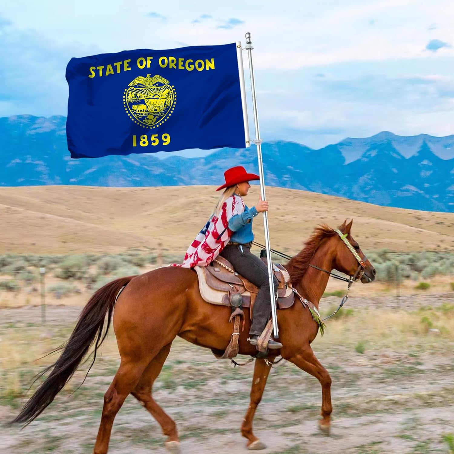 Oregon State Flag 3x5 Outdoor Double Sided Heavy Duty 100% Polyester with 2 Brass Grommets for Outdoor Indoor Wall - Image 5