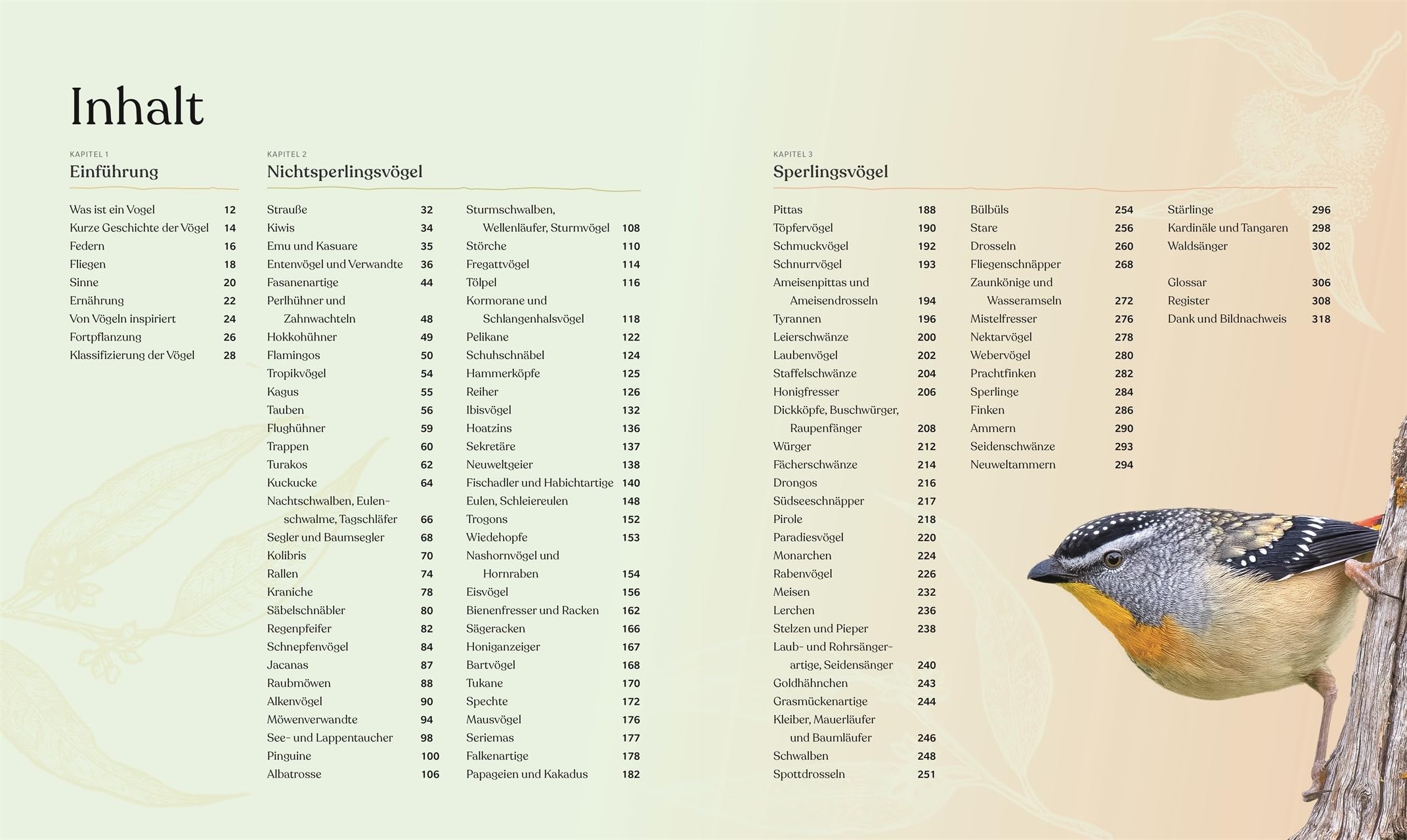 Vögel - Eine Natur- und Kulturgeschichte: Über 100 Vögel aus aller Welt in ausführlichen Porträts. Spannende Fakten, brillante Fotos und Illustrationen (DK Faszinierende Welt)