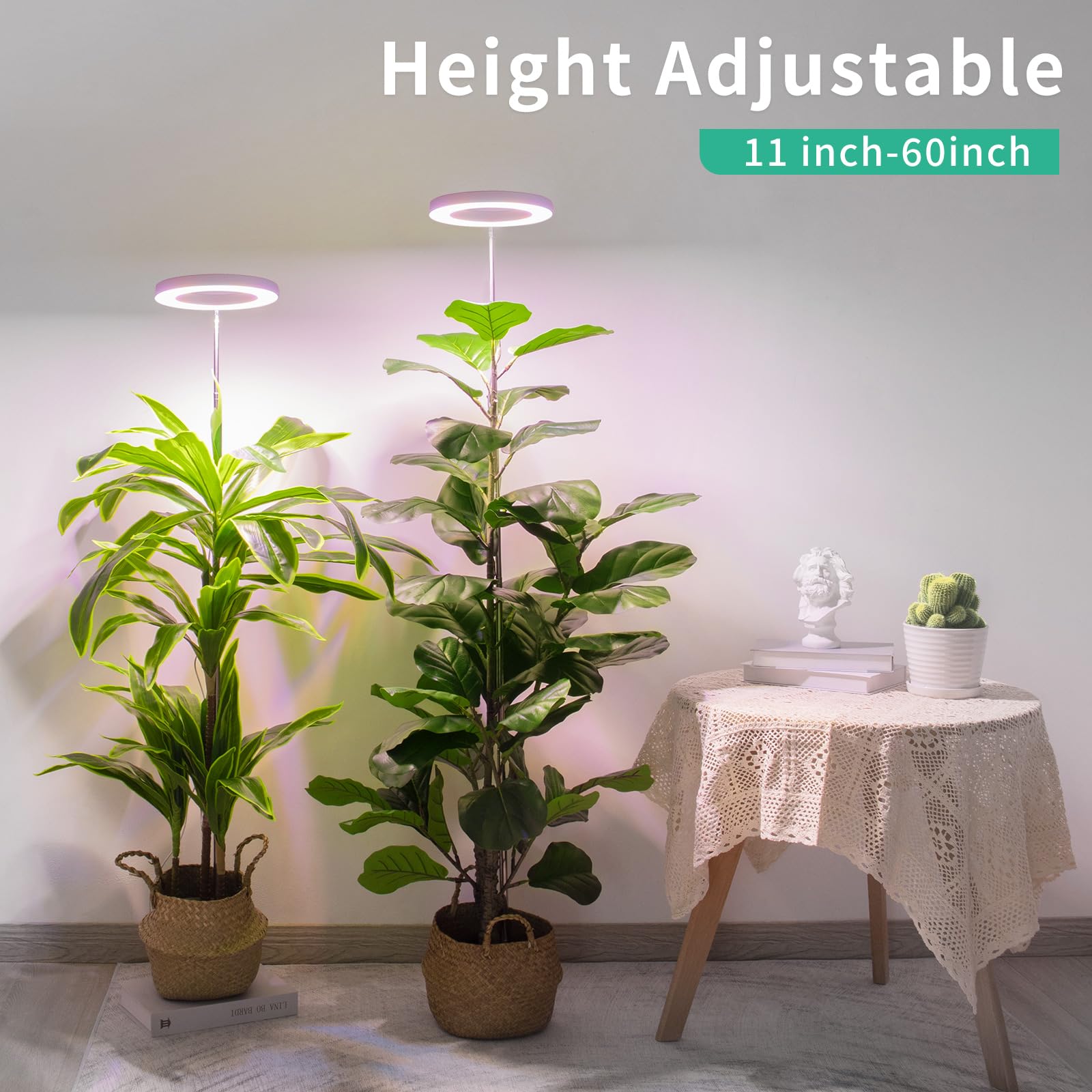 LORDEM Luci a LED a spettro completo, luminosità regolabile, con timer di accensione/spegnimento automatico, luci di crescita regolabili in altezza per piante da interno, confezione da 2