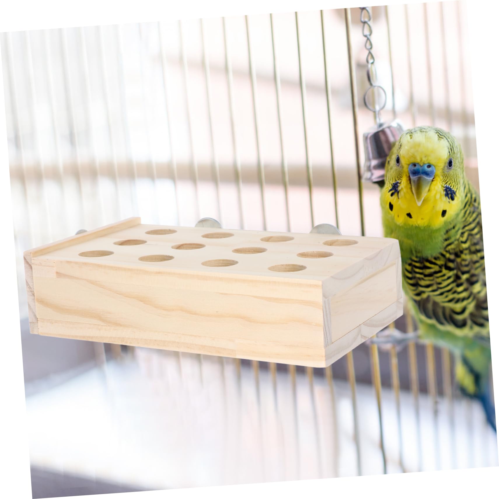 BESPORTBLE 5stücke Papagei Kauspielzeug Für Wellensittiche Multifunktionales Vogelspielzeug Für Käfige Sicher Und Langlebig Fördert Spiel Und Bewegung Für Papageienarten