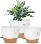 Set de planteur d'eau autonome, 5Pack Petits pots de plantes en plastique avec trous de drainage et soucoupes, Modern 7+6.5+6+5.5+5 INCH Set de pots de fleurs pour plantes d'extérieur intérieur - noir