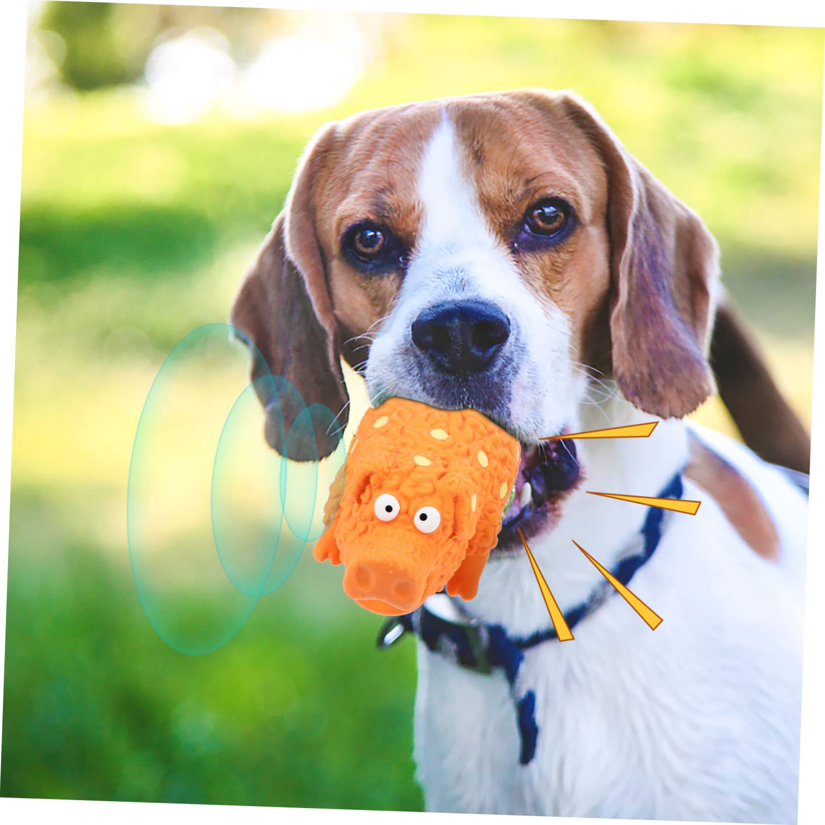 Angoily 4stücke Squeaky Latex Hundespielzeug Set Interaktive Kauspielzeuge Für Hunde Zum Spielen Und Zahnpflege Für Kleine Und Mittelgroße Hunde