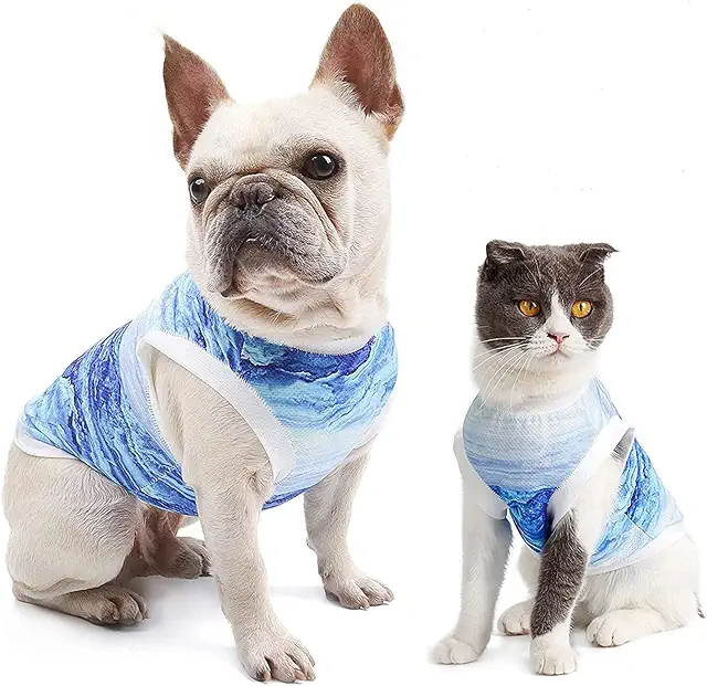 Gilet rafraîchissant pour chien - Veste respirante anti-anxiété pour chiens et chats