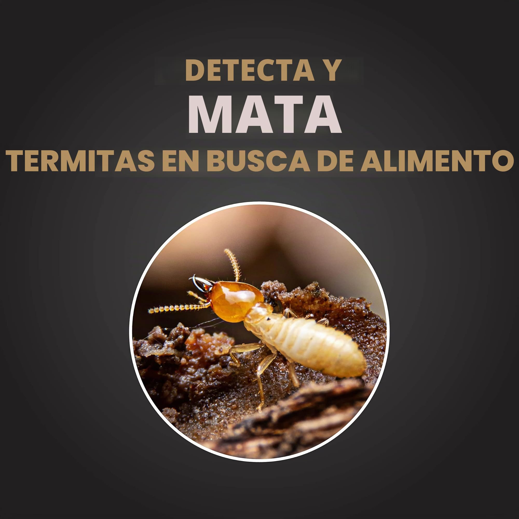 Spectracide Terminar detección termite & killing stakes2 (hg-96115) (15 ct)