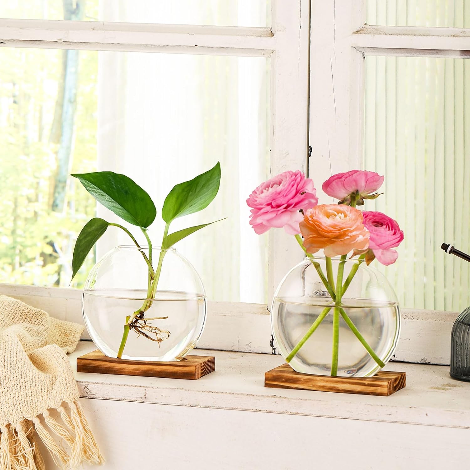 4 Pack Plant Propagation Station with Wooden Base Glass Terrariums for Indoor Plants Decorative Round Vases for Flowers Hydroponic Planter for Home Office Decor - Image 7